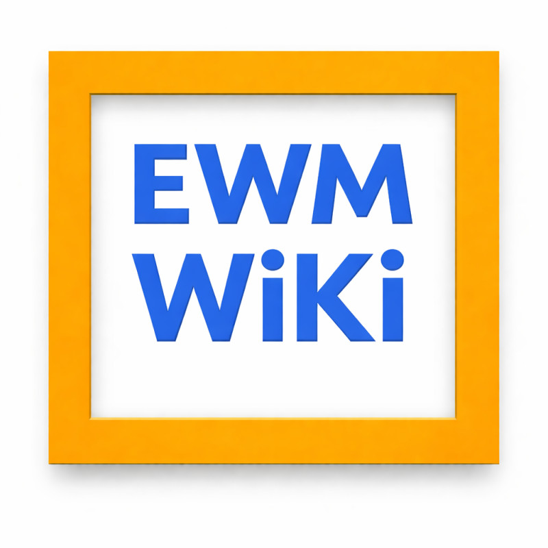 ERPCONSULTANT.COM INC.